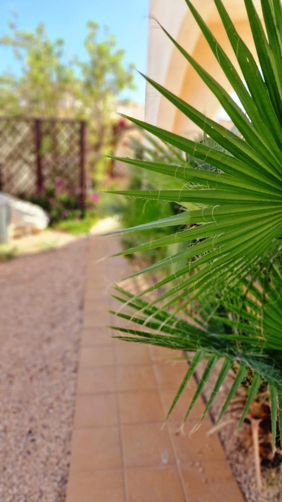 Villa Flamingo Alicante